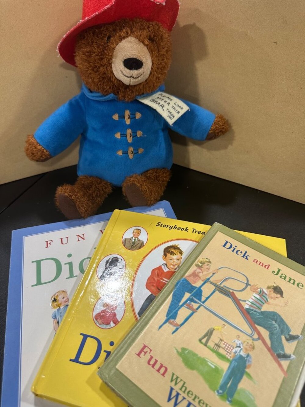 Vintage Dick And Jane Storybook Collection Fun with Dick and Jane 3 book bundle